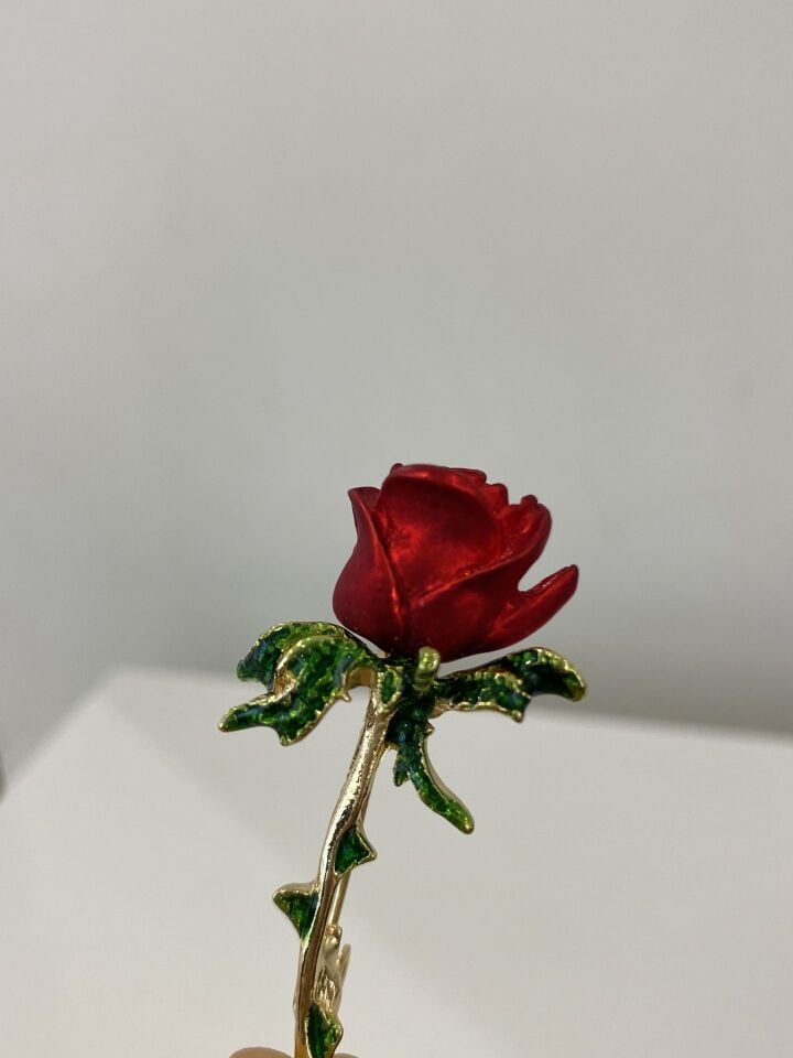 Kırmızı Dal Gül Broş