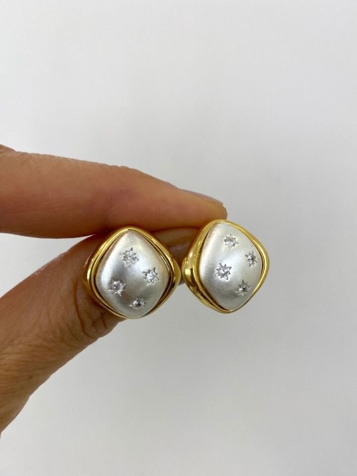 Çift Renk Yıldızlı Küpe