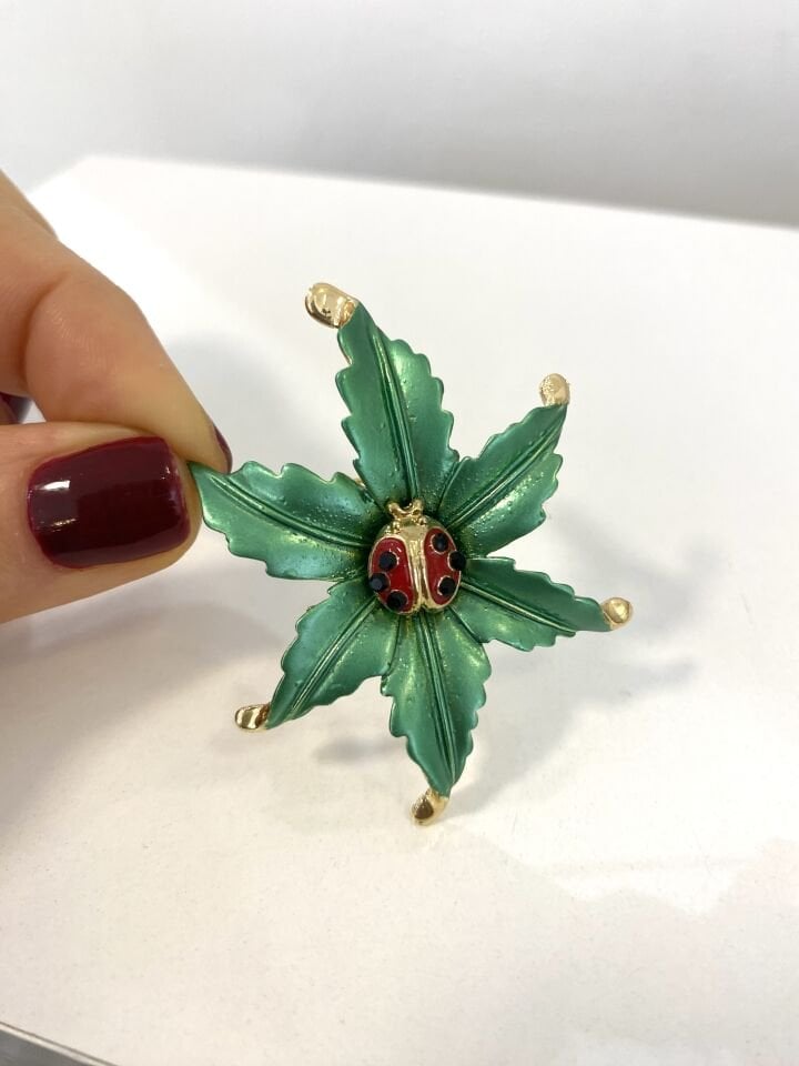 Uğur Böcekli Yaprak Broş