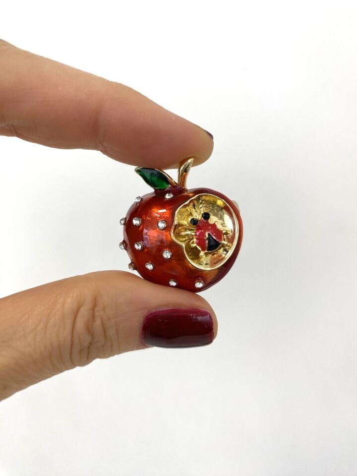 Uğur Böcekli Elma Broş