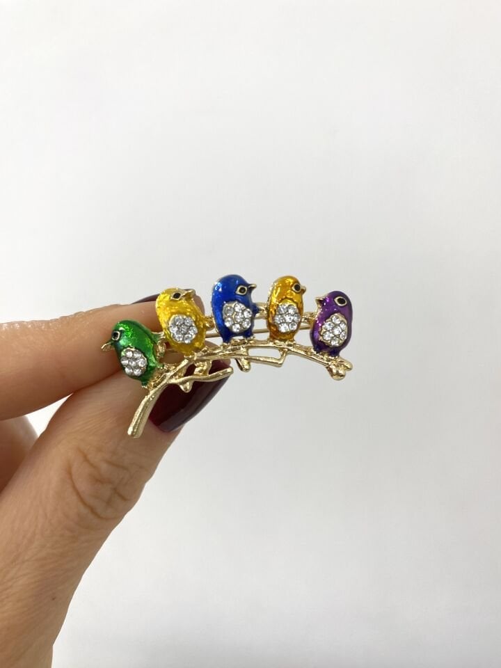 Renkli Kuşlar Broşu