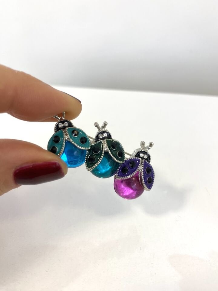 Renkli Uğur Böcekleri Broşu