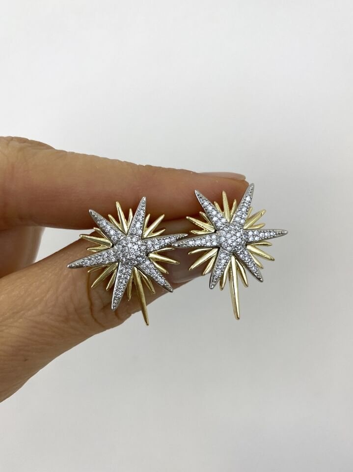 Çift Renk Kutup Yıldızı Küpe